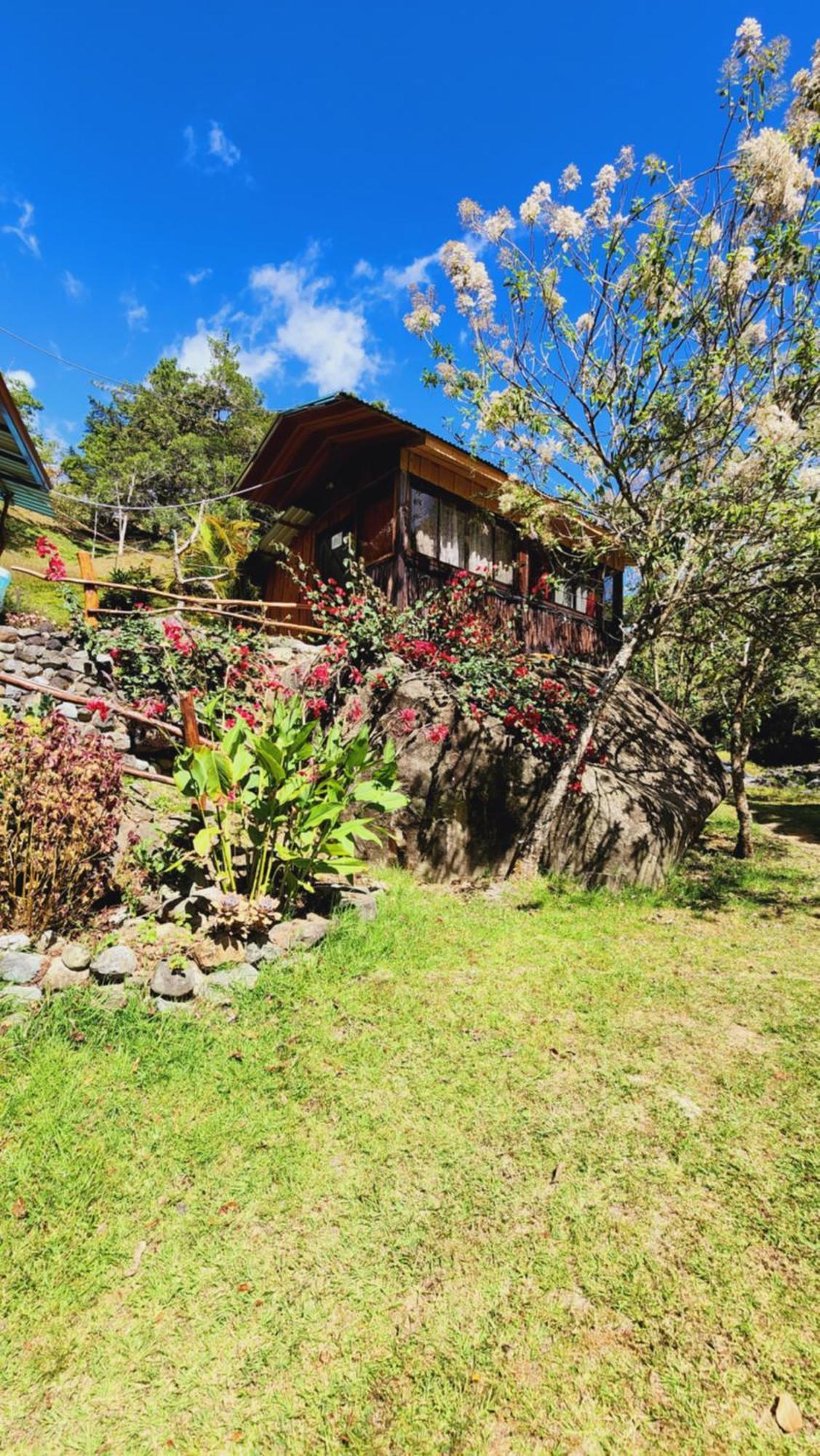 Hospedajes Richie Eco Camp Providencia Extérieur photo