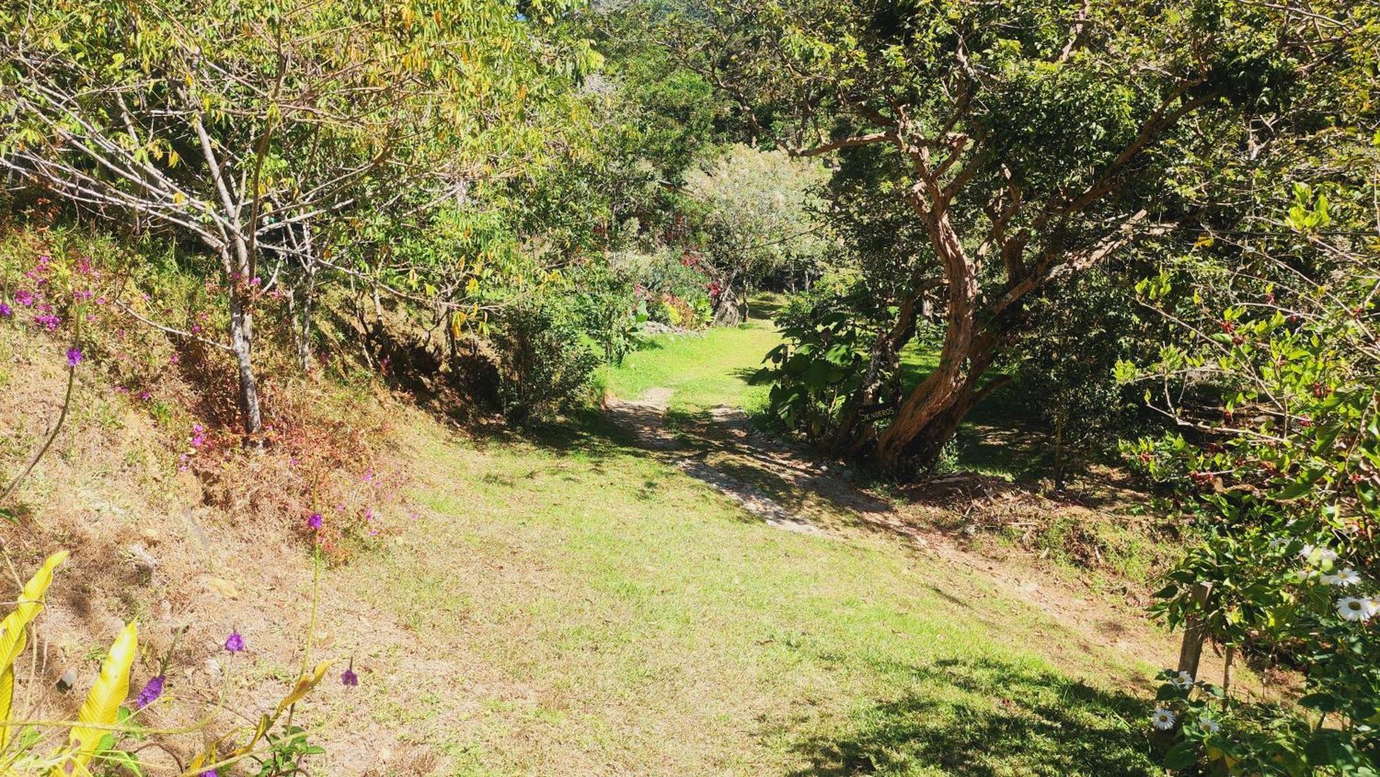 Hospedajes Richie Eco Camp Providencia Extérieur photo